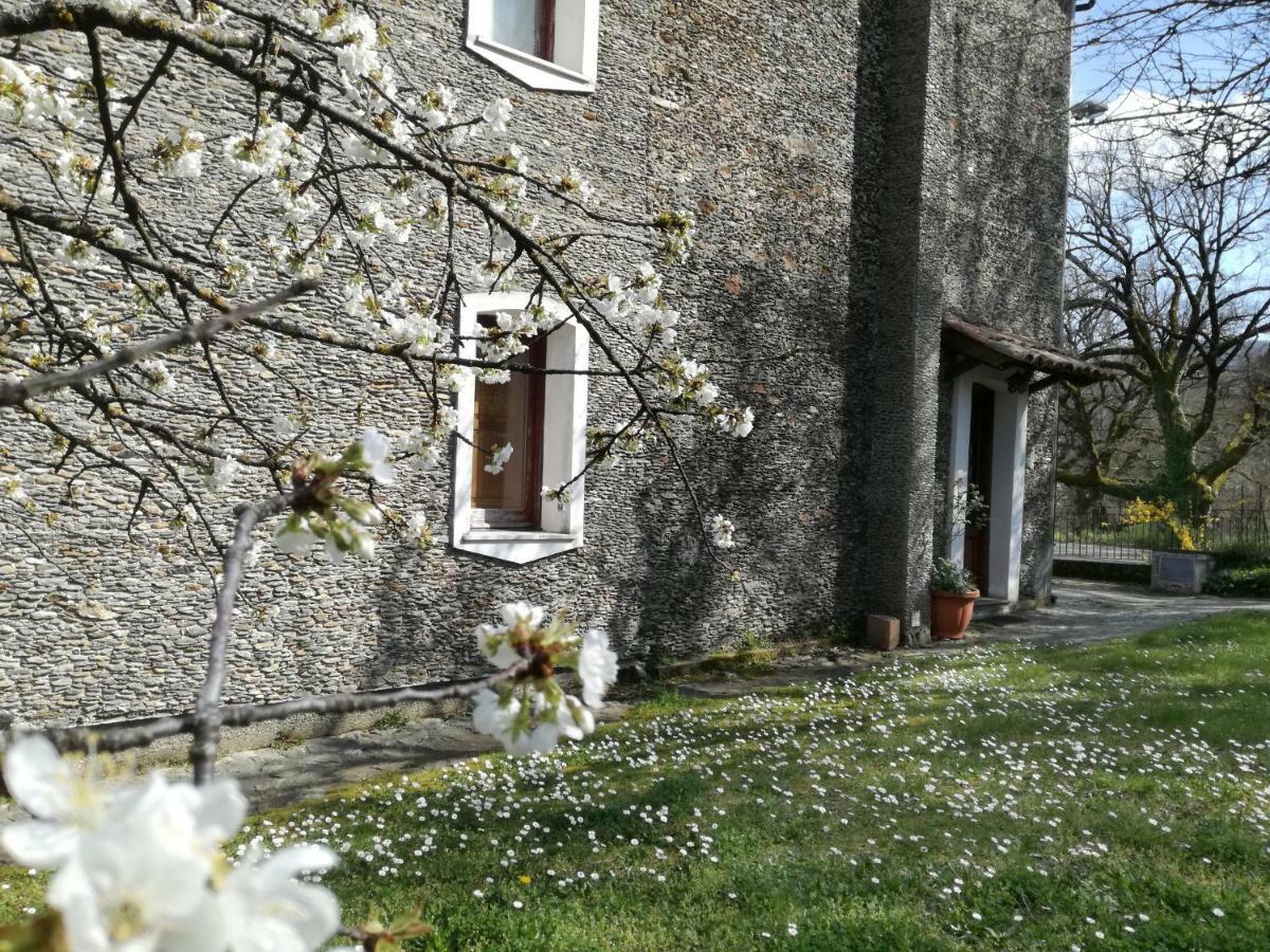 Casa Nel Verde Decollatura エクステリア 写真