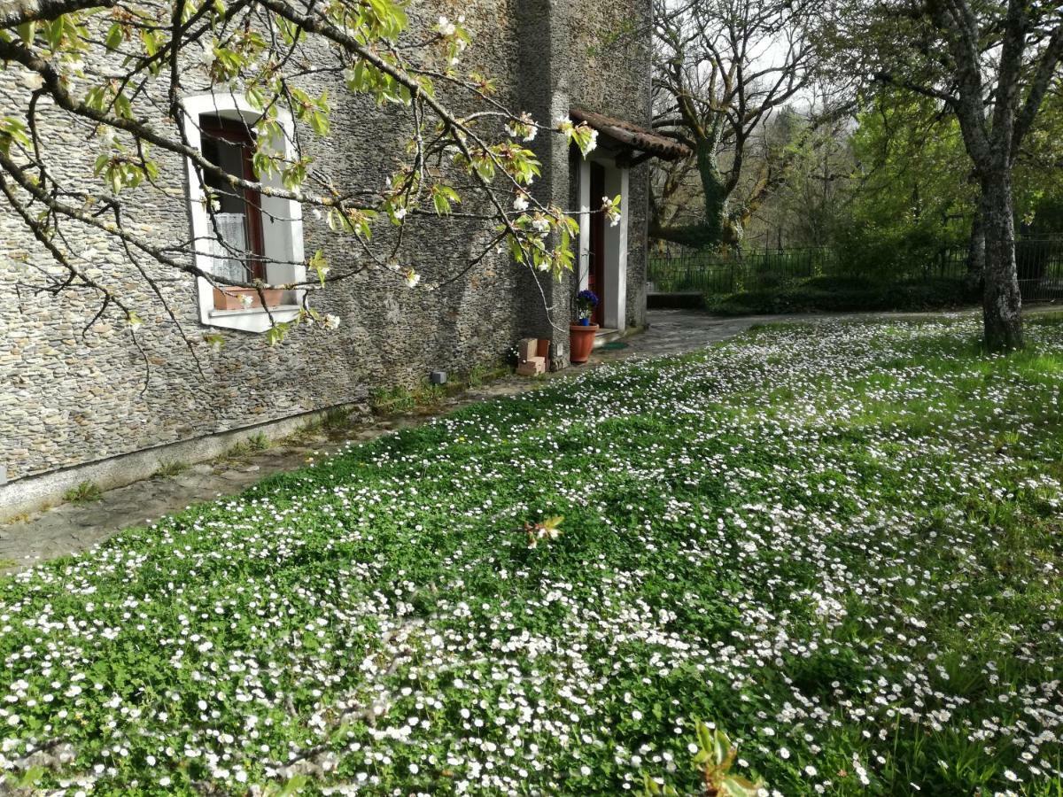 Casa Nel Verde Decollatura エクステリア 写真